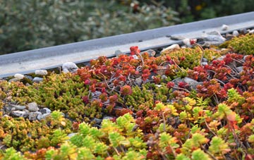 the cost of Deishar green roof installation