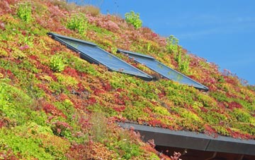 Deishar living roof systems